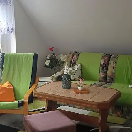 Waldblick In Frauenstein (Saxony)