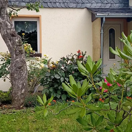 Waldblick In Apartment *