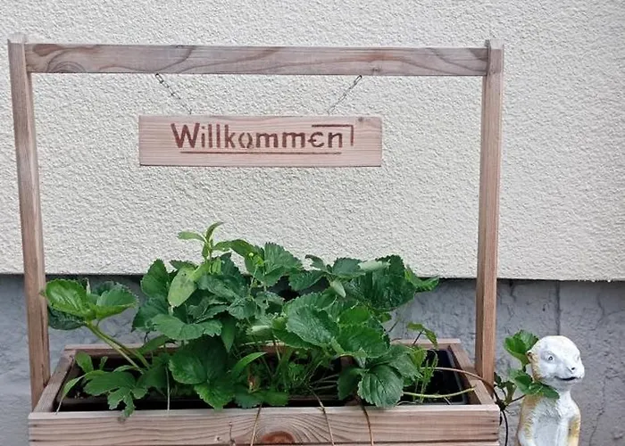 Waldblick In Apartament Frauenstein (Saxony)