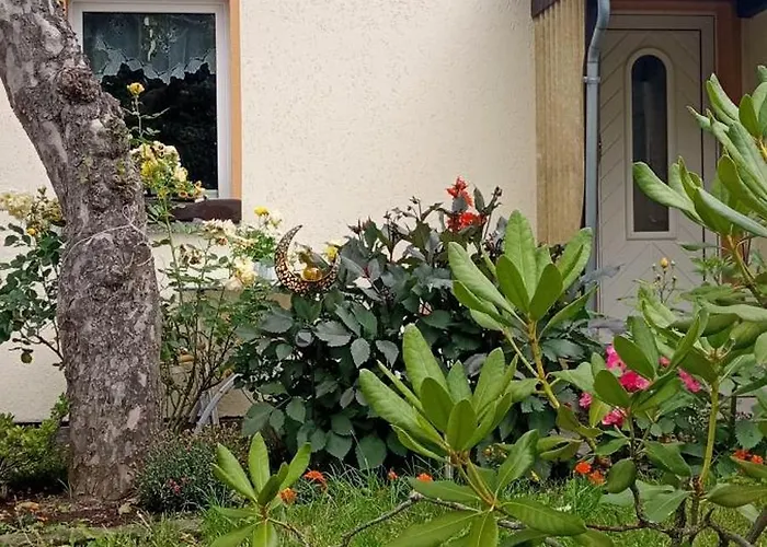 Waldblick In Apartament *