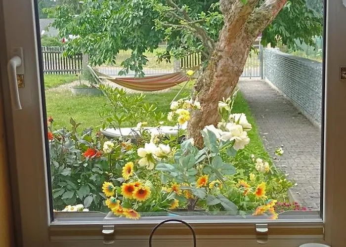 Waldblick In Apartament Frauenstein (Saxony)